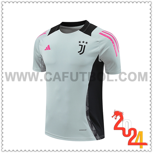 Camiseta Entrenamiento Juventus Gris/Negro 2024 2025