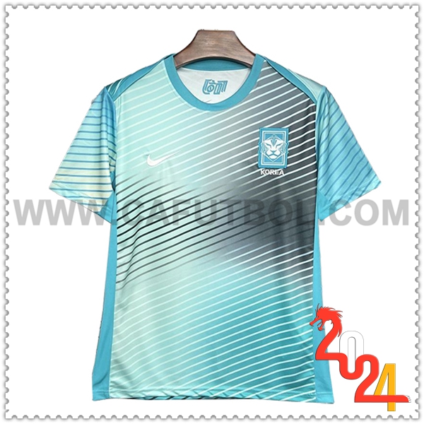 Camiseta Entrenamiento Corée Du Sud Azul/Gris 2024 2025