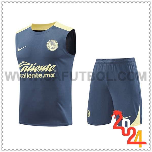 Camiseta Entrenamiento sin mangas Club America Gris/Amarillo 2024 2025