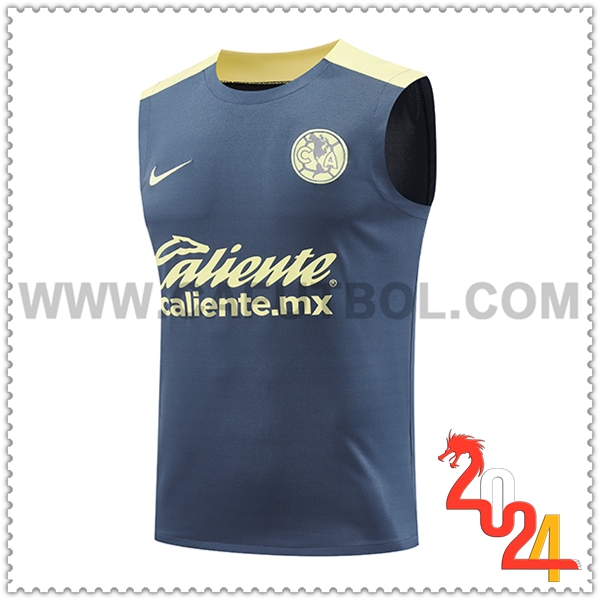 Chalecos De Futbol Club America Gris/Amarillo 2024 2025