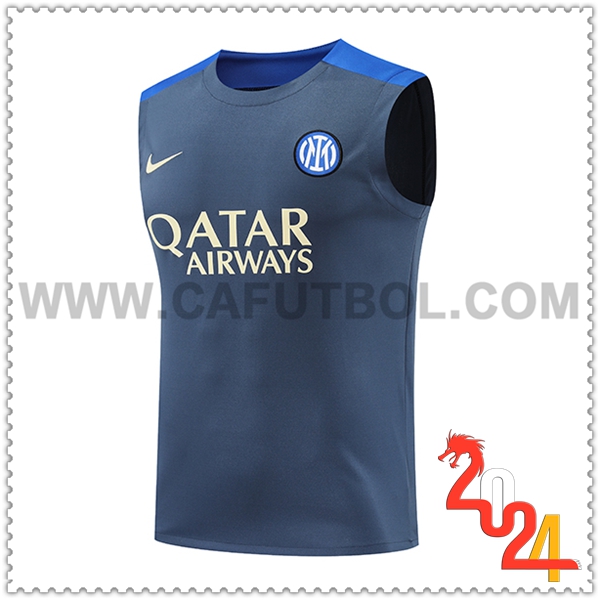 Chalecos De Futbol Inter Milan Gris/Azul 2024 2025