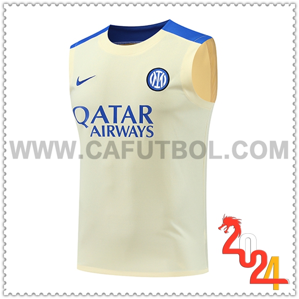 Chalecos De Futbol Inter Milan Amarillo/Azul 2024 2025