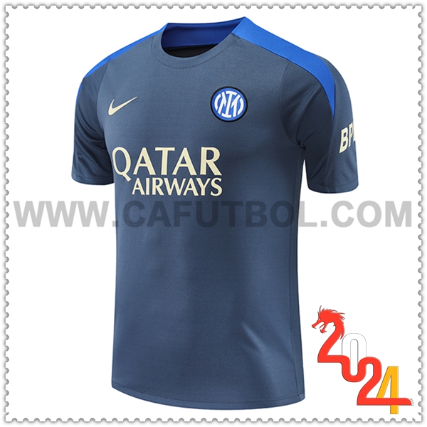 Camiseta Entrenamiento Inter Milan Gris/Azul 2024 2025